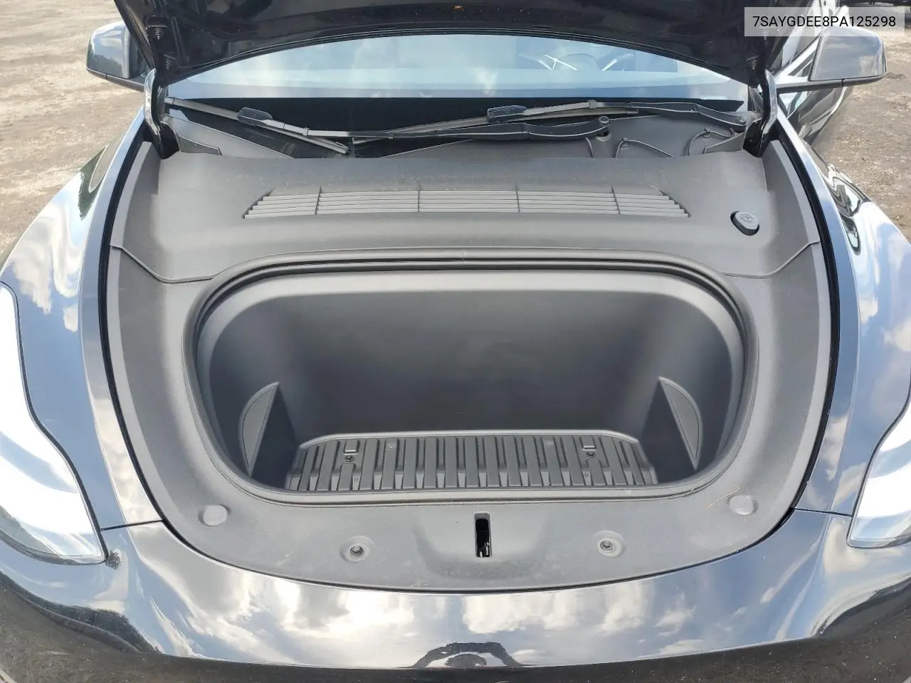 2023 Tesla Model Y VIN: 7SAYGDEE8PA125298 Lot: 62895925
