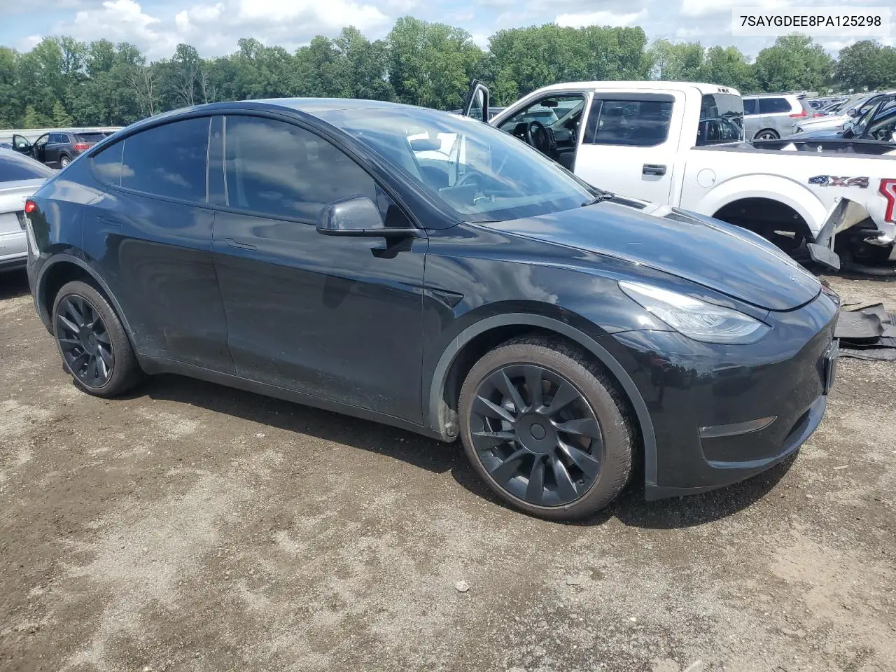 2023 Tesla Model Y VIN: 7SAYGDEE8PA125298 Lot: 62895925