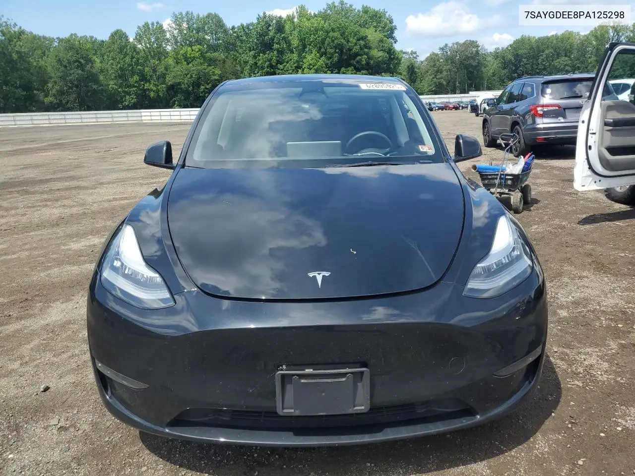 2023 Tesla Model Y VIN: 7SAYGDEE8PA125298 Lot: 62895925