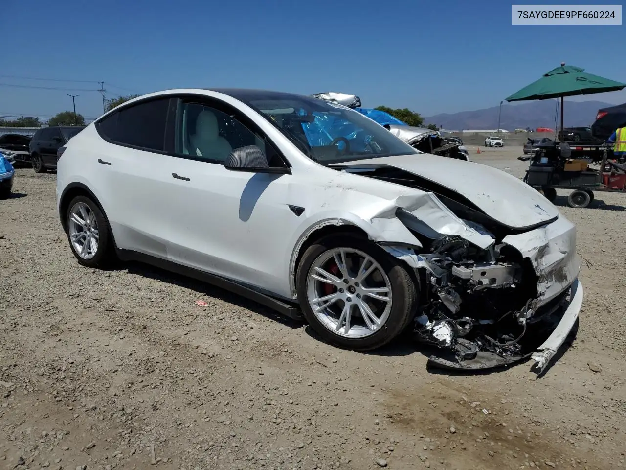 2023 Tesla Model Y VIN: 7SAYGDEE9PF660224 Lot: 62928495