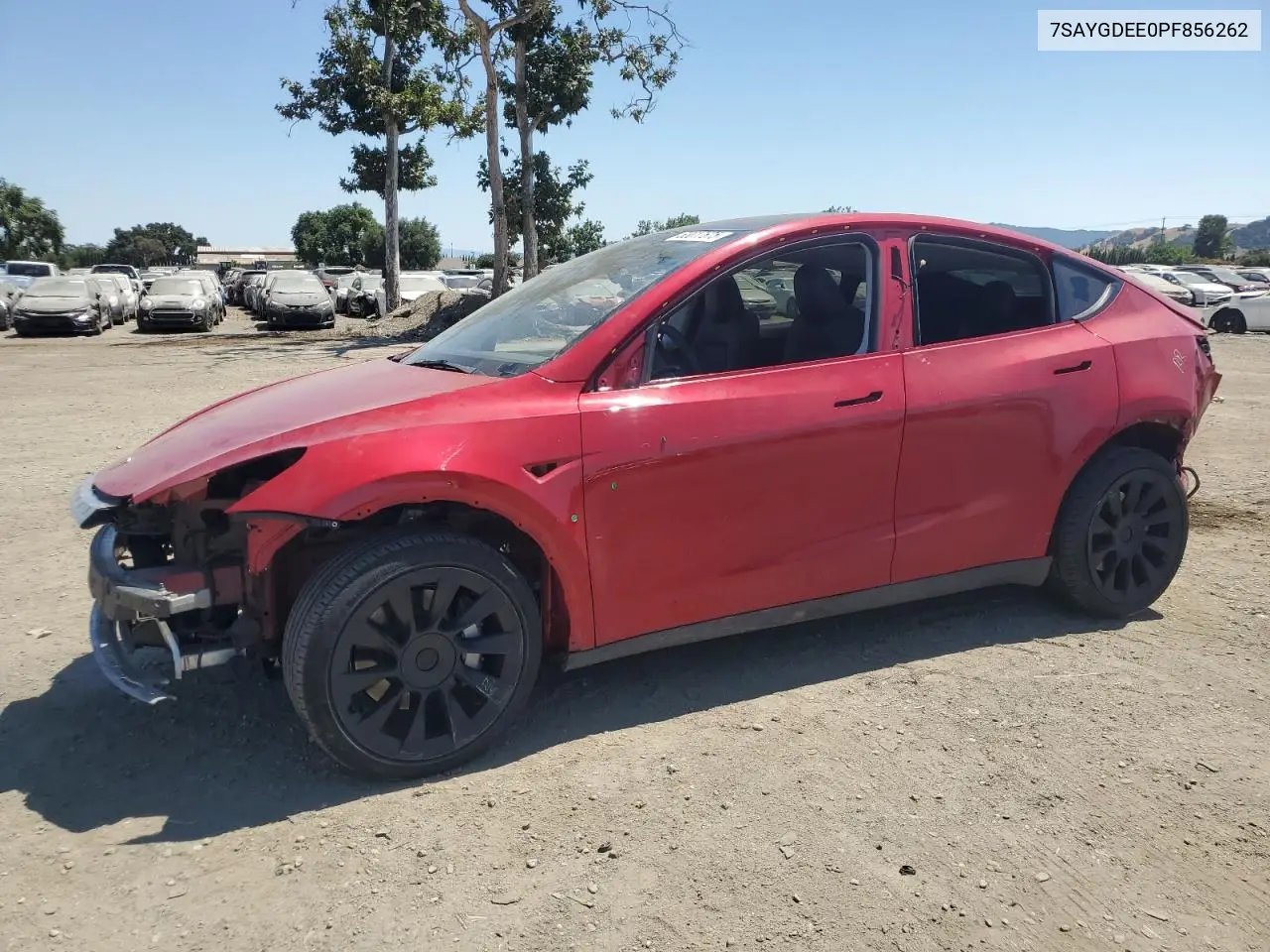 2023 Tesla Model Y VIN: 7SAYGDEE0PF856262 Lot: 63017675
