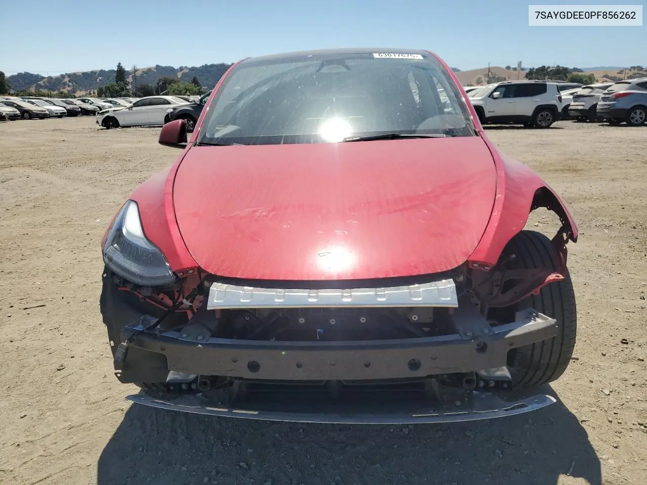 2023 Tesla Model Y VIN: 7SAYGDEE0PF856262 Lot: 63017675