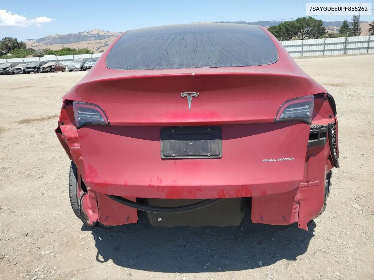 2023 Tesla Model Y VIN: 7SAYGDEE0PF856262 Lot: 63017675