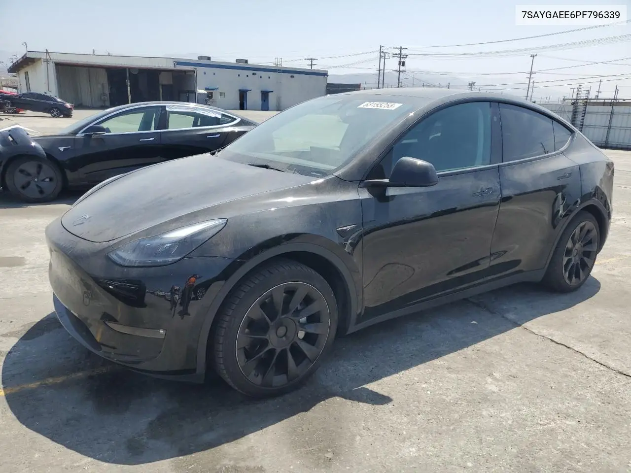 2023 Tesla Model Y VIN: 7SAYGAEE6PF796339 Lot: 63155255