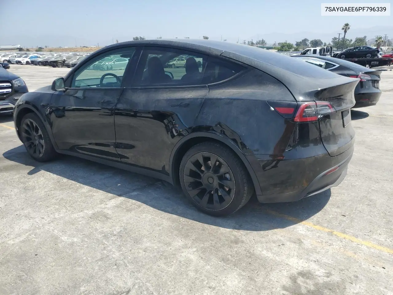 2023 Tesla Model Y VIN: 7SAYGAEE6PF796339 Lot: 63155255