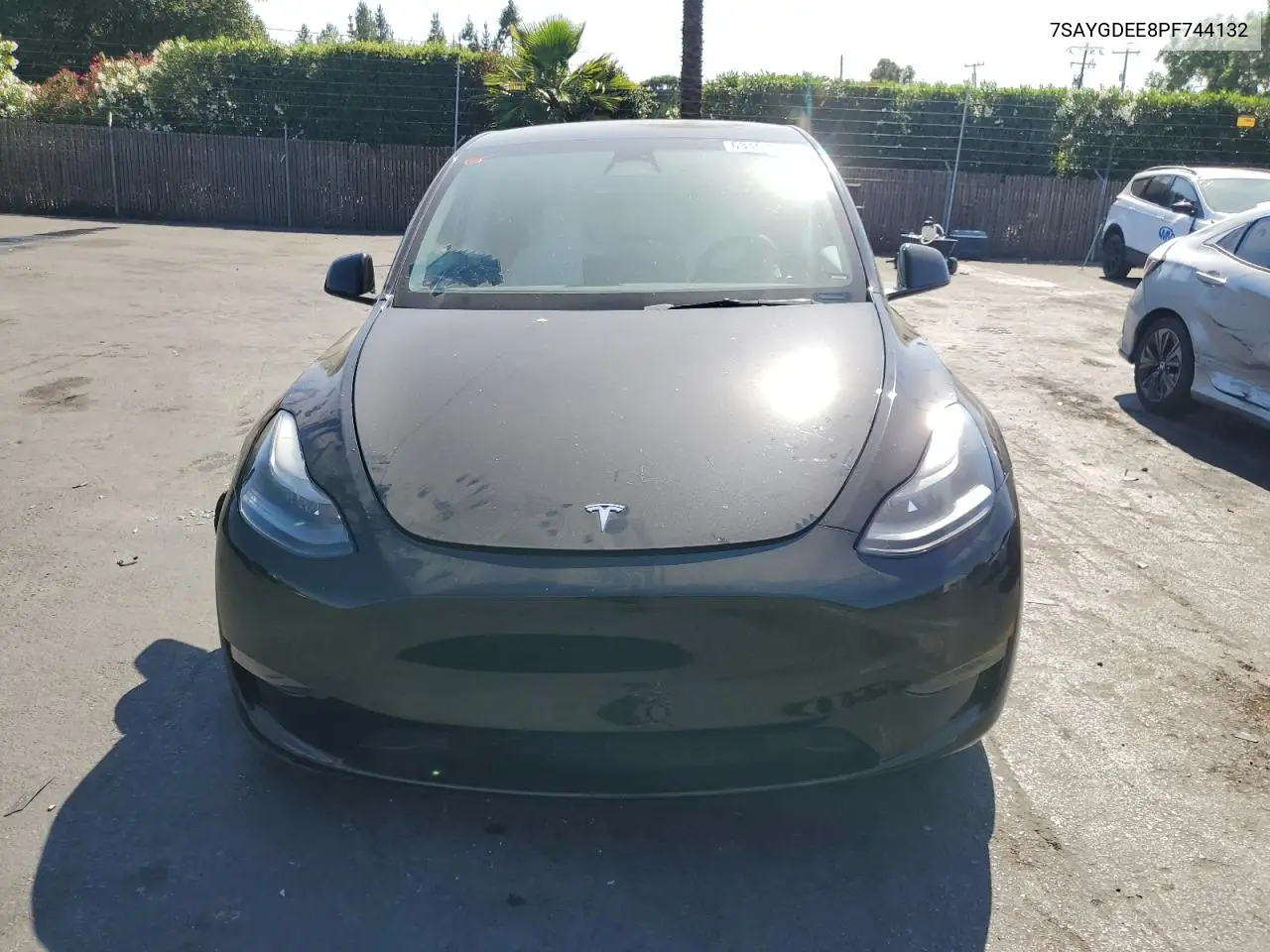2023 Tesla Model Y VIN: 7SAYGDEE8PF744132 Lot: 63403935