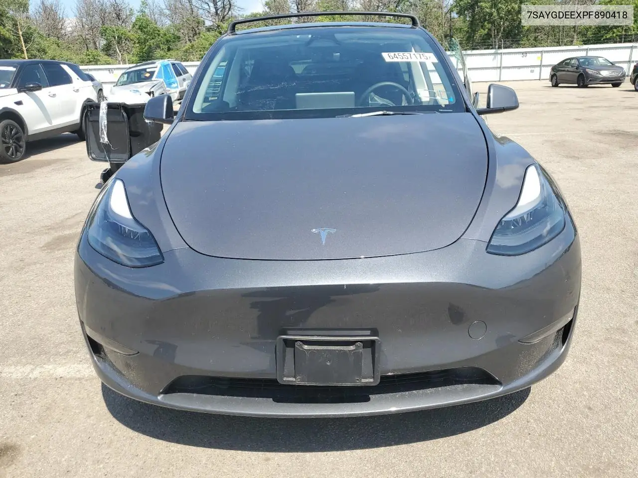 2023 Tesla Model Y VIN: 7SAYGDEEXPF890418 Lot: 64557175