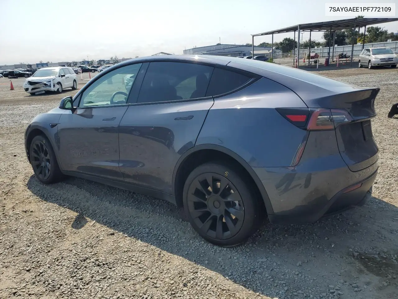 2023 Tesla Model Y VIN: 7SAYGAEE1PF772109 Lot: 64802185