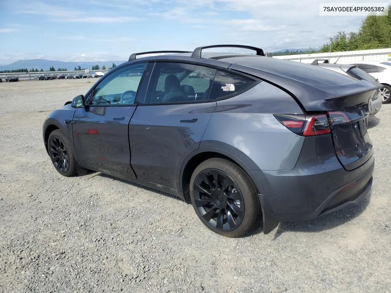2023 Tesla Model Y VIN: 7SAYGDEE4PF905382 Lot: 64812565