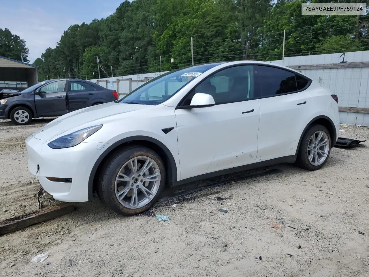 2023 Tesla Model Y VIN: 7SAYGAEE9PF759124 Lot: 64981185