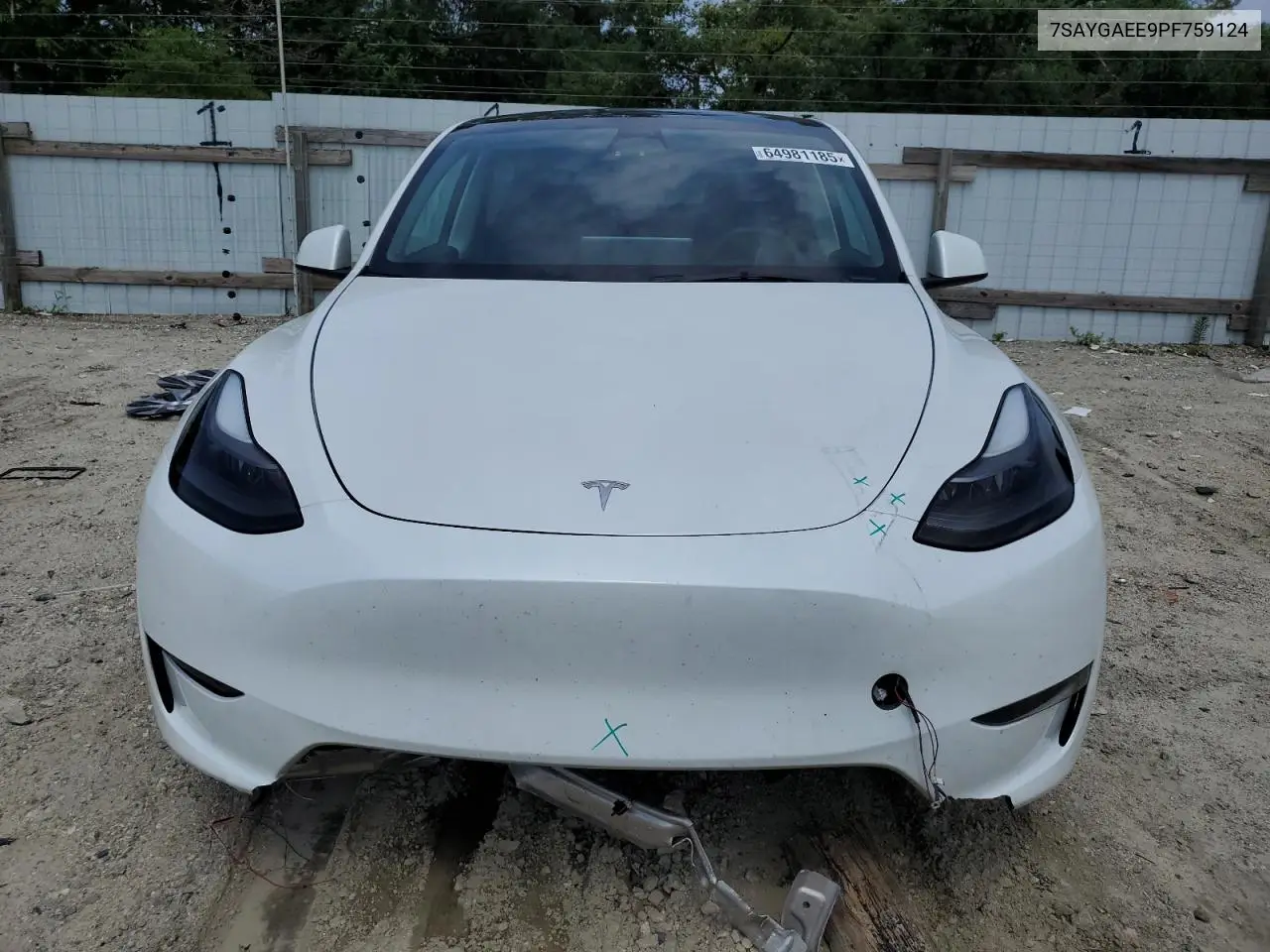 2023 Tesla Model Y VIN: 7SAYGAEE9PF759124 Lot: 64981185