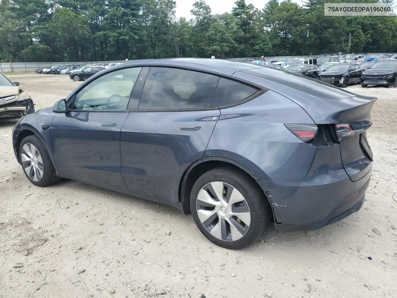 2023 Tesla Model Y VIN: 7SAYGDEE0PA196060 Lot: 65012865