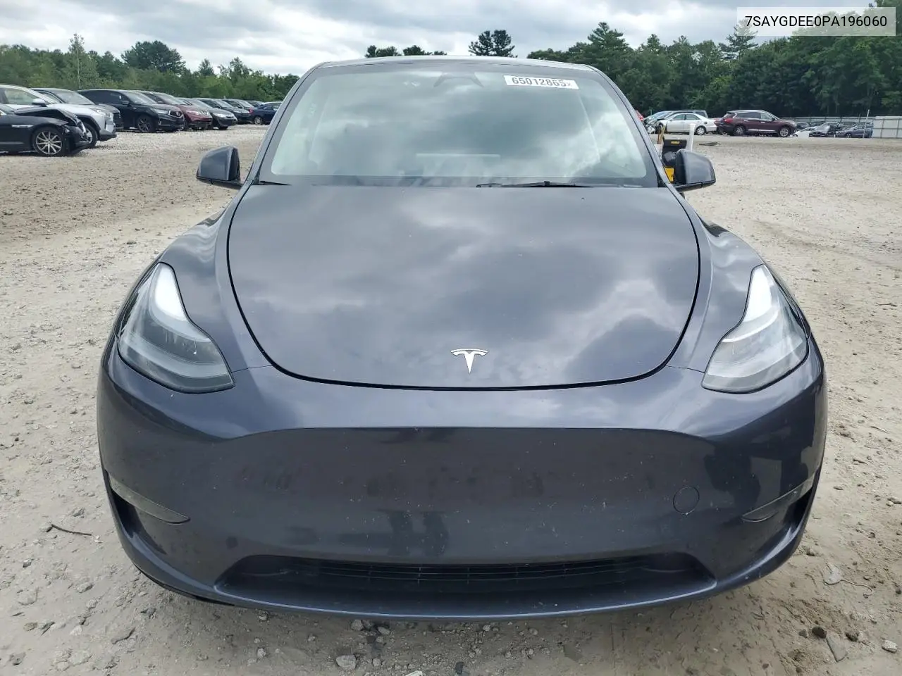 2023 Tesla Model Y VIN: 7SAYGDEE0PA196060 Lot: 65012865