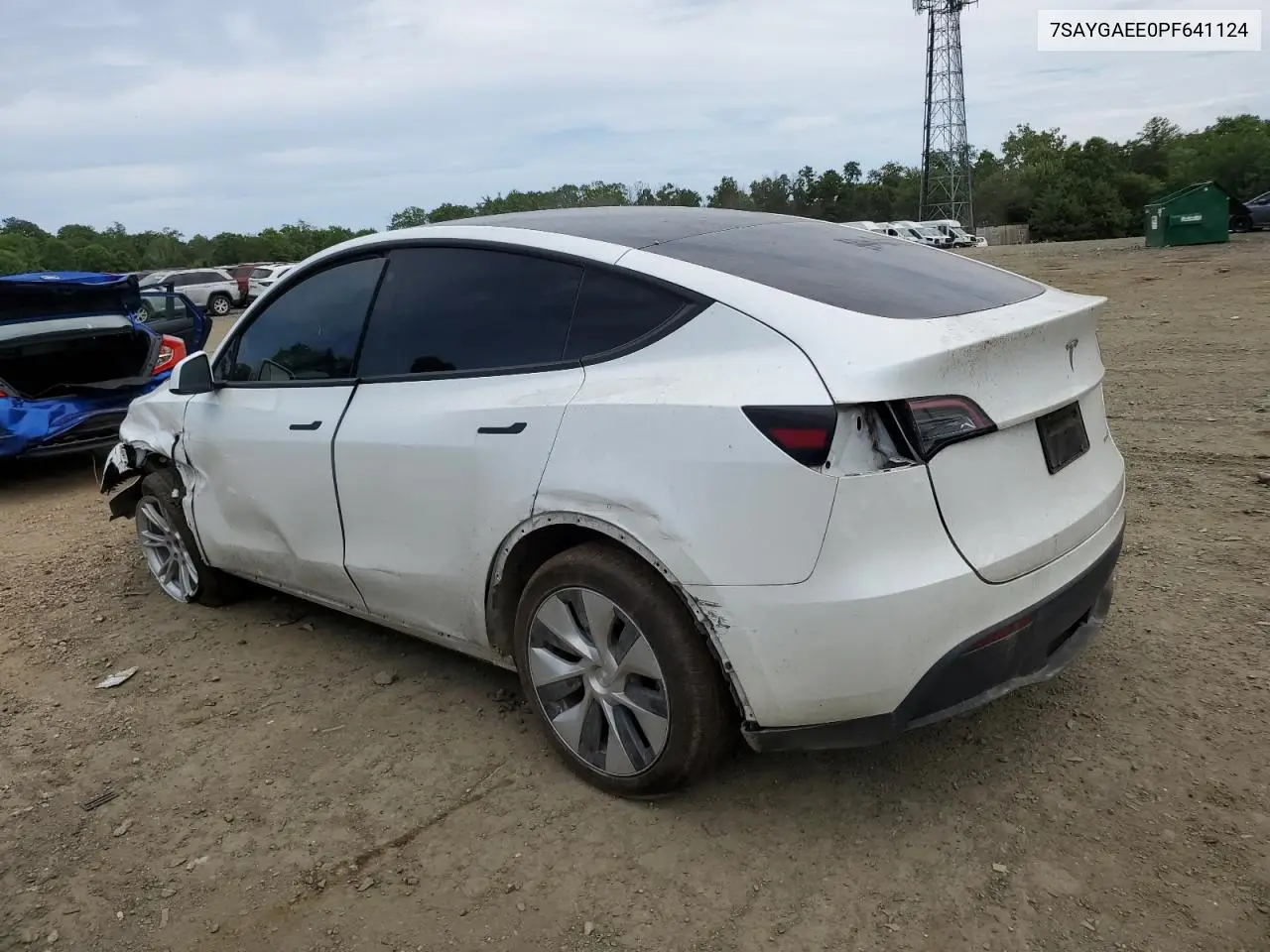 2023 Tesla Model Y VIN: 7SAYGAEE0PF641124 Lot: 65140725