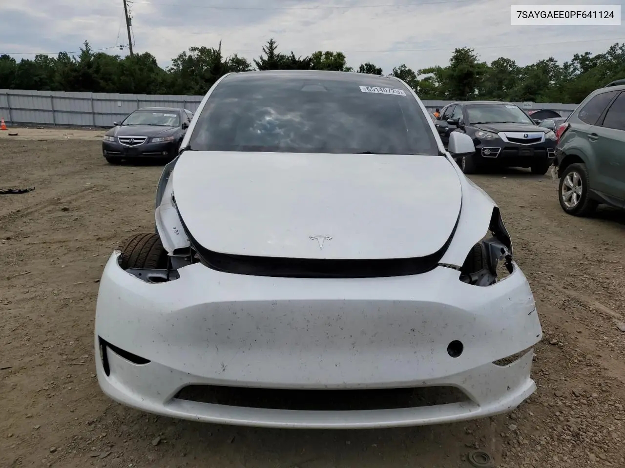 2023 Tesla Model Y VIN: 7SAYGAEE0PF641124 Lot: 65140725