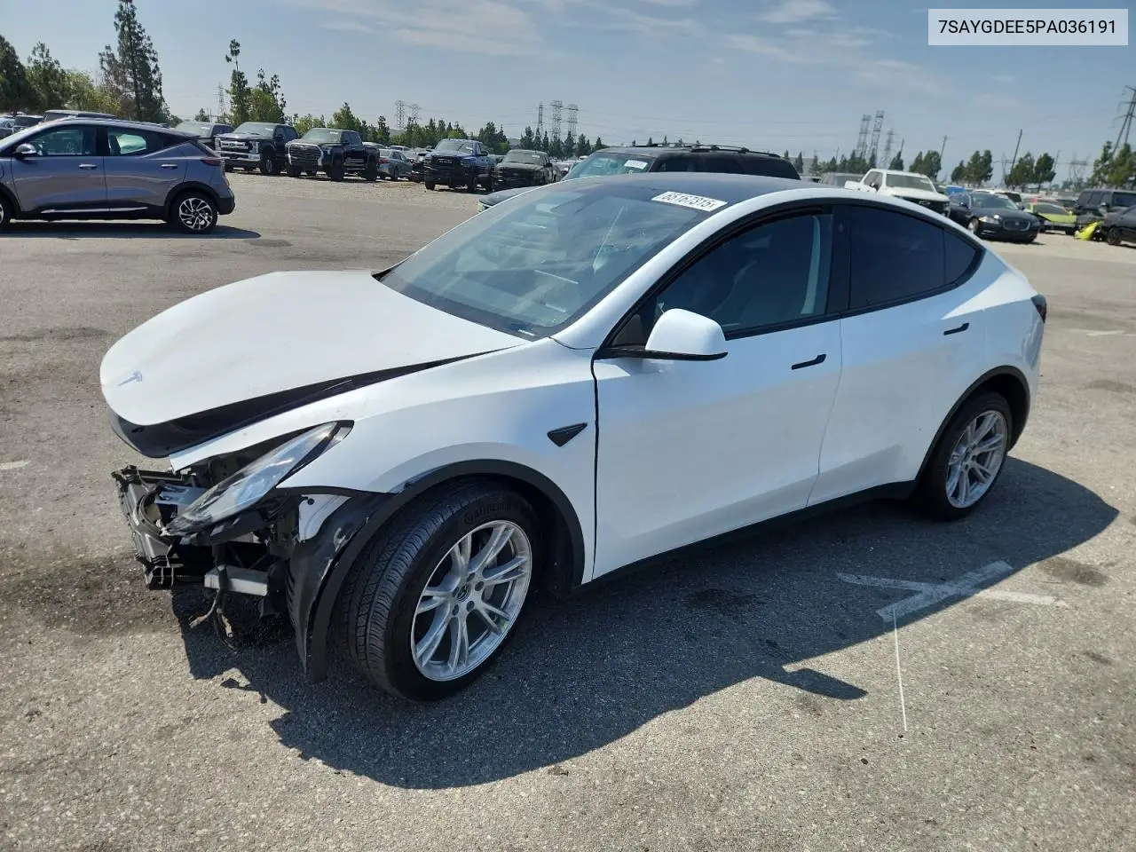 2023 Tesla Model Y VIN: 7SAYGDEE5PA036191 Lot: 65167315