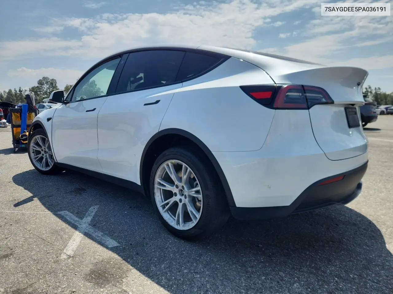 2023 Tesla Model Y VIN: 7SAYGDEE5PA036191 Lot: 65167315
