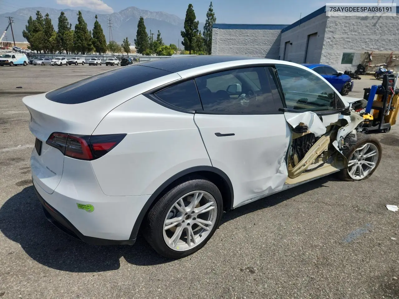 2023 Tesla Model Y VIN: 7SAYGDEE5PA036191 Lot: 65167315