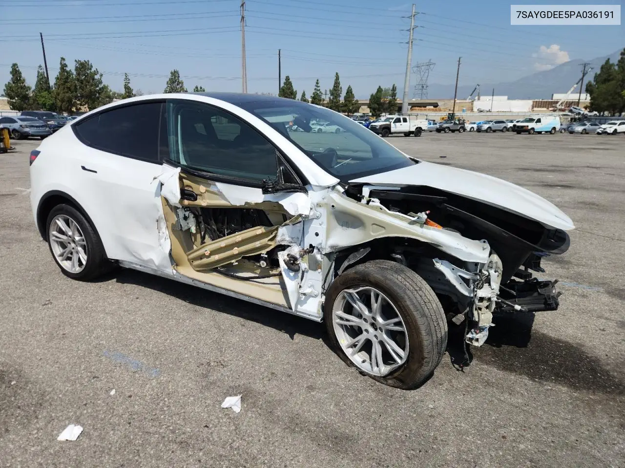 2023 Tesla Model Y VIN: 7SAYGDEE5PA036191 Lot: 65167315