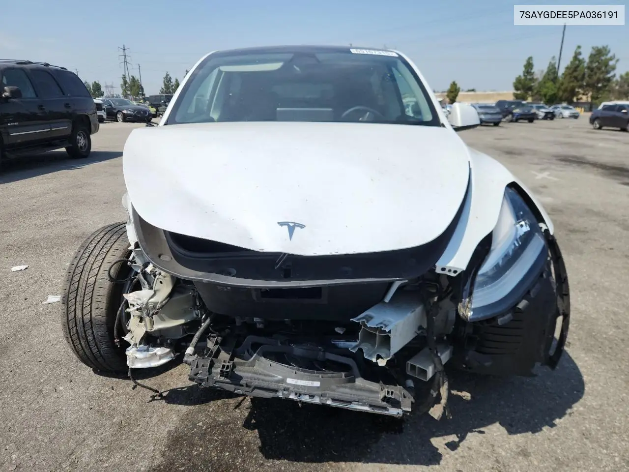 2023 Tesla Model Y VIN: 7SAYGDEE5PA036191 Lot: 65167315