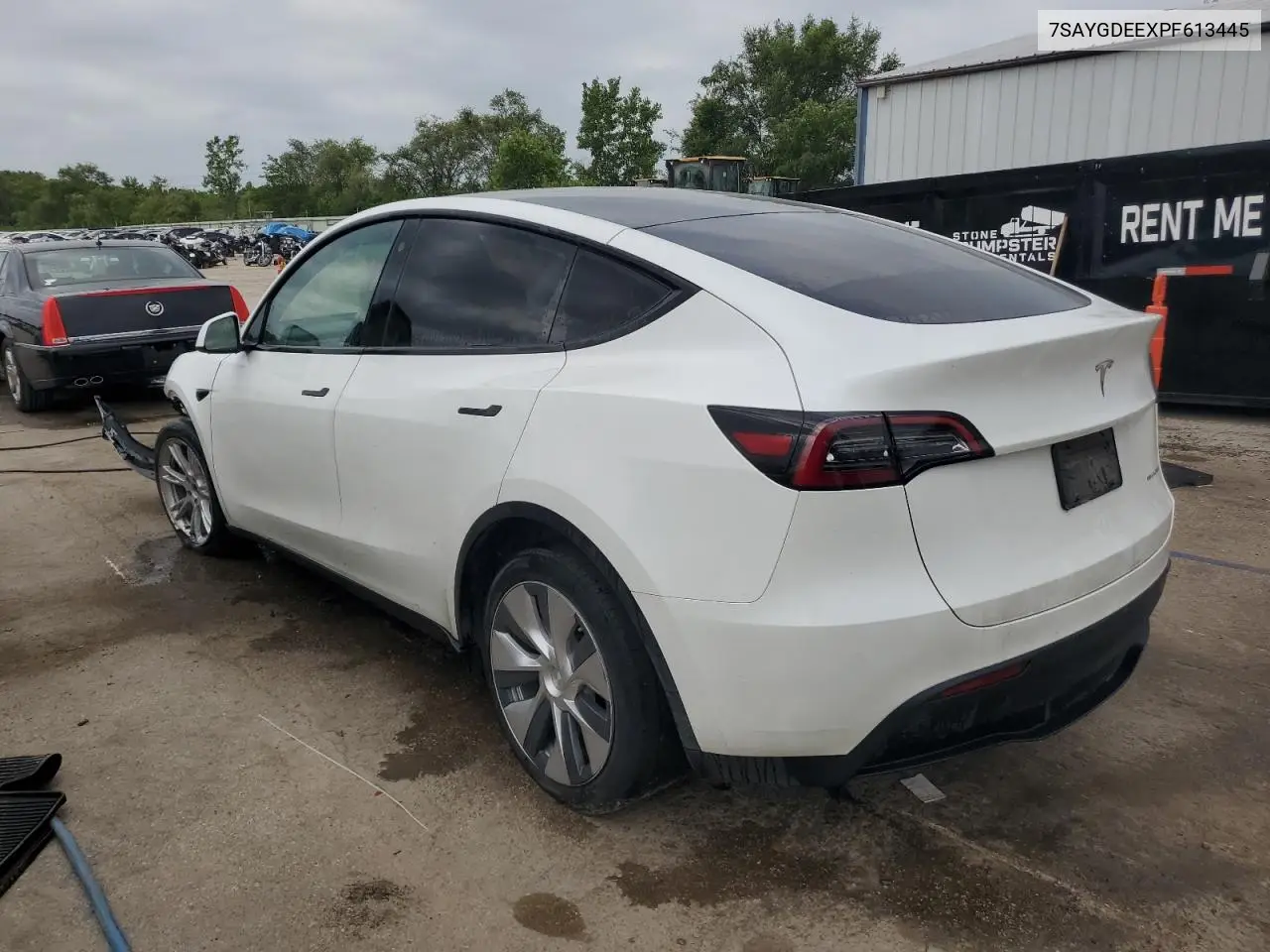 2023 Tesla Model Y VIN: 7SAYGDEEXPF613445 Lot: 65186455