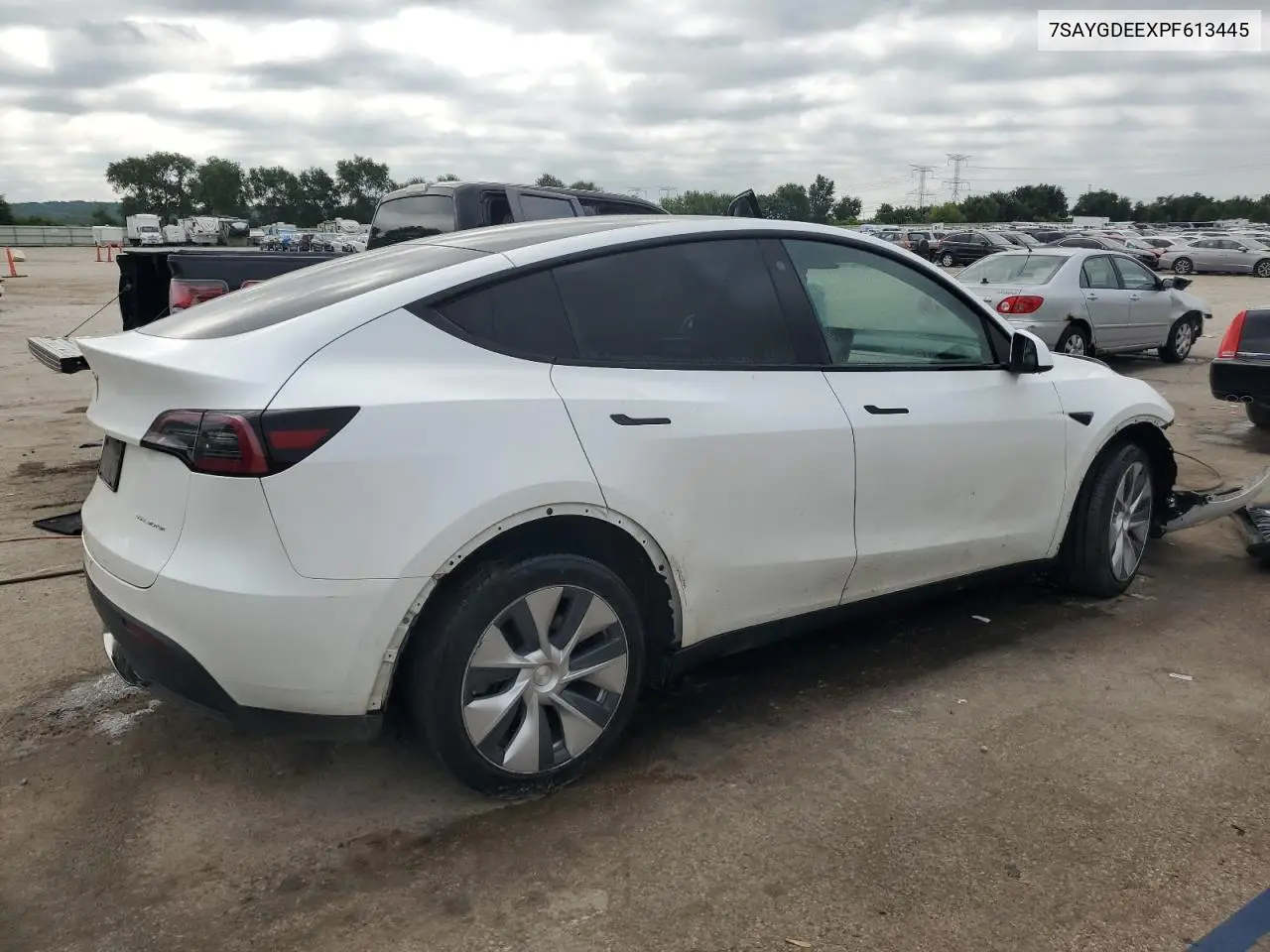 2023 Tesla Model Y VIN: 7SAYGDEEXPF613445 Lot: 65186455