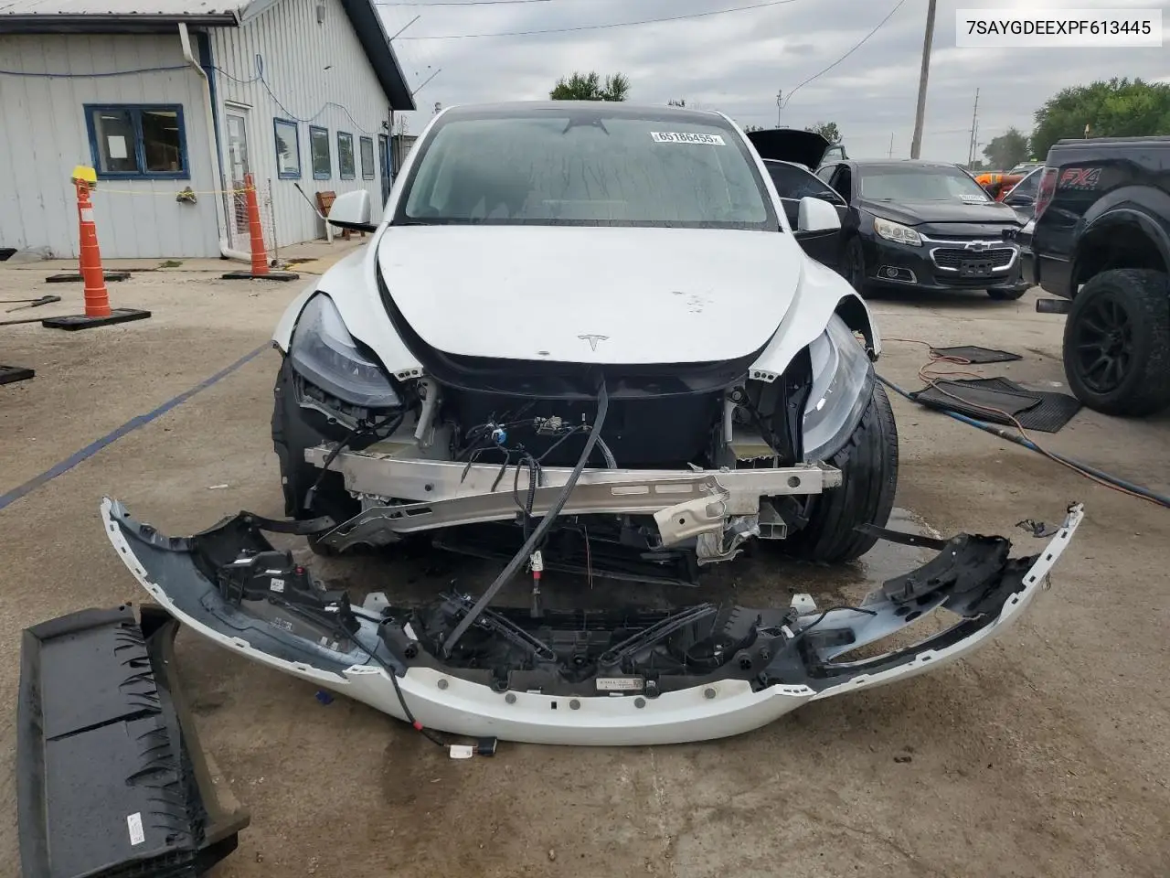 2023 Tesla Model Y VIN: 7SAYGDEEXPF613445 Lot: 65186455