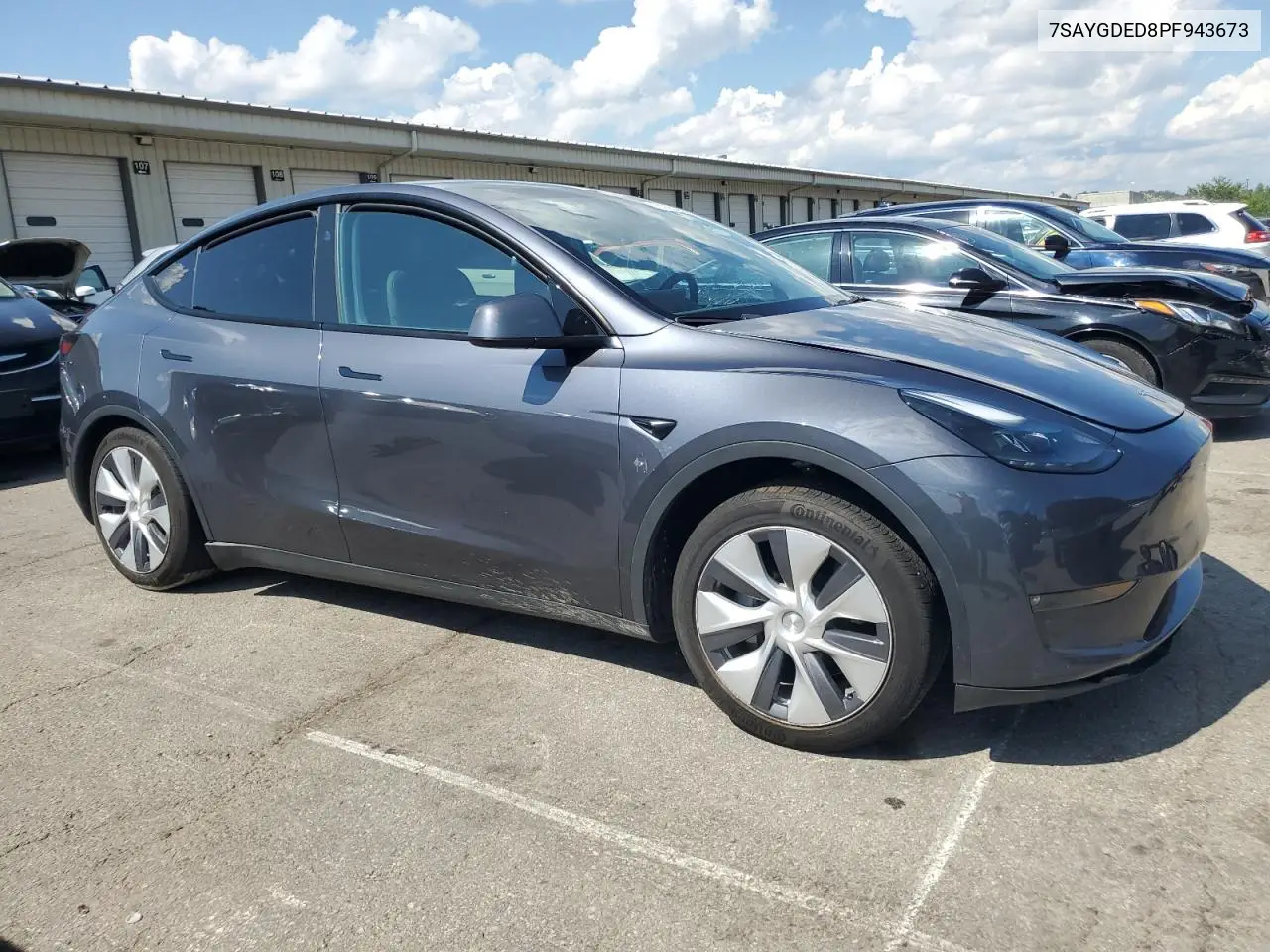 2023 Tesla Model Y VIN: 7SAYGDED8PF943673 Lot: 65192905