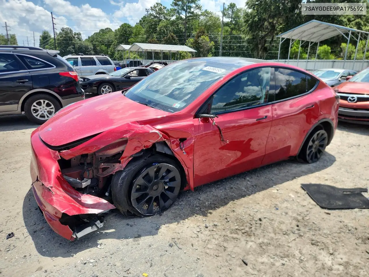 2023 Tesla Model Y VIN: 7SAYGDEE9PA175692 Lot: 65396195