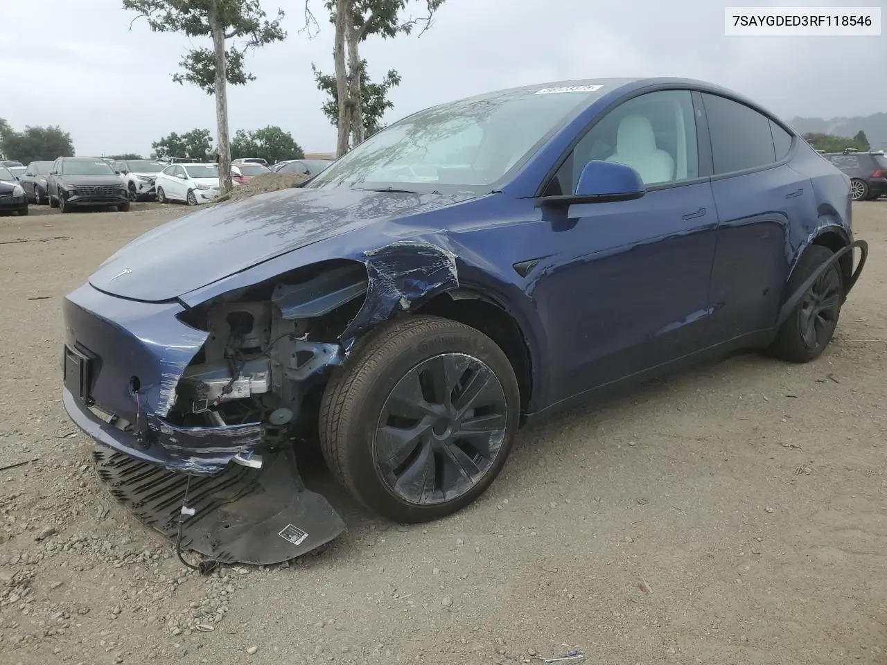 2024 Tesla Model Y VIN: 7SAYGDED3RF118546 Lot: 56573375
