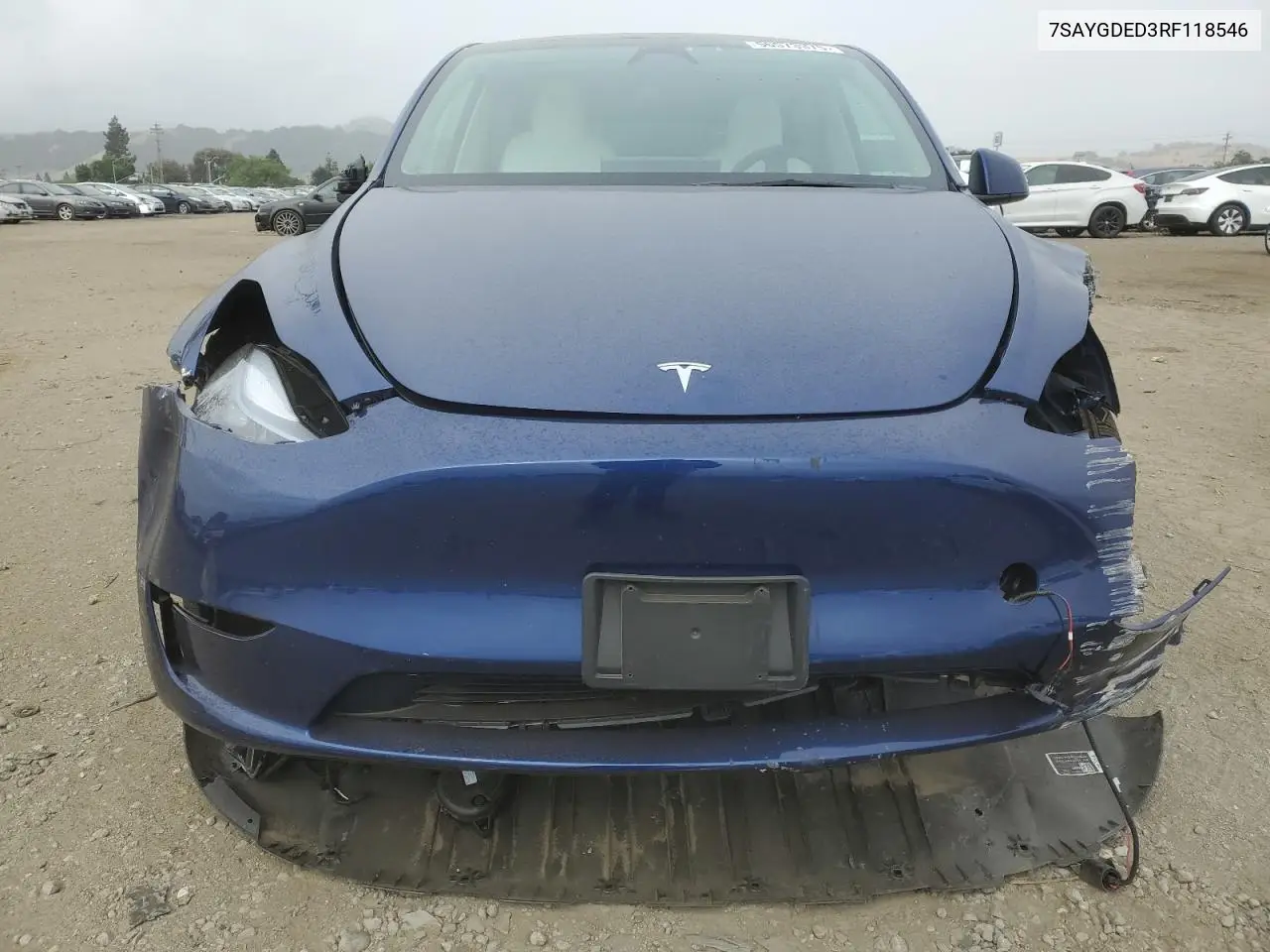 2024 Tesla Model Y VIN: 7SAYGDED3RF118546 Lot: 56573375