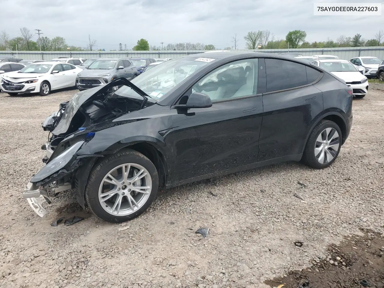 2024 Tesla Model Y VIN: 7SAYGDEE0RA227603 Lot: 56843545