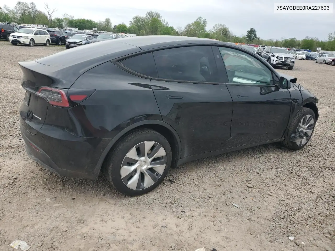 2024 Tesla Model Y VIN: 7SAYGDEE0RA227603 Lot: 56843545
