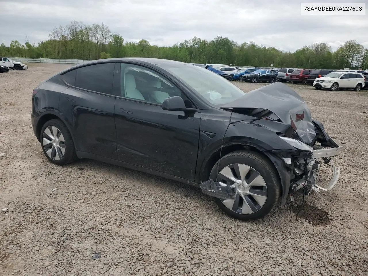 2024 Tesla Model Y VIN: 7SAYGDEE0RA227603 Lot: 56843545