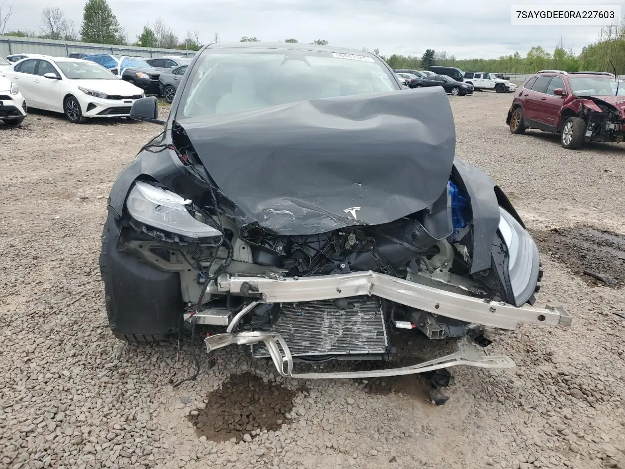 2024 Tesla Model Y VIN: 7SAYGDEE0RA227603 Lot: 56843545