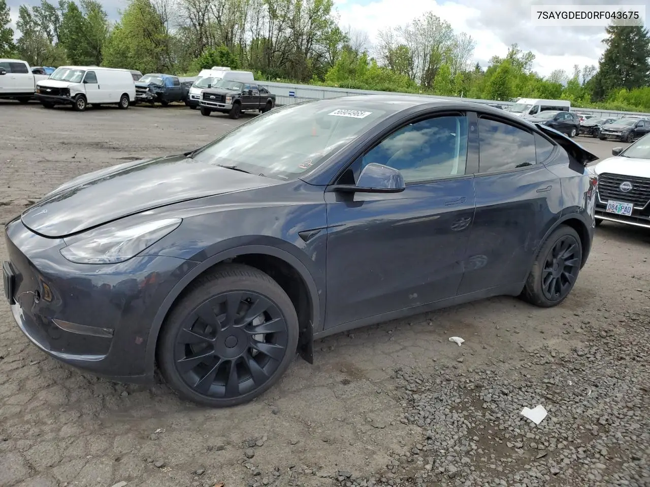 2024 Tesla Model Y VIN: 7SAYGDED0RF043675 Lot: 56904965