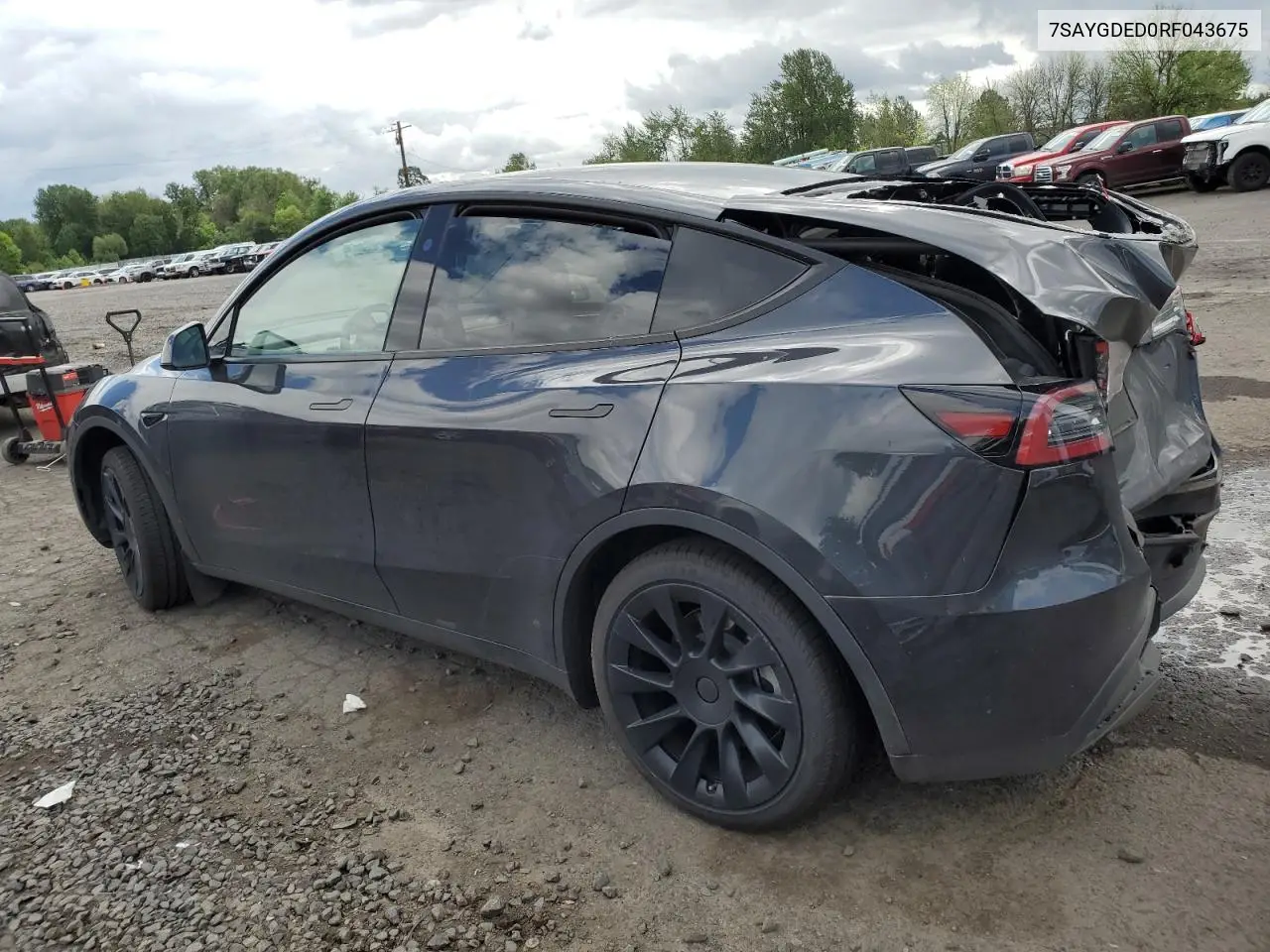 2024 Tesla Model Y VIN: 7SAYGDED0RF043675 Lot: 56904965