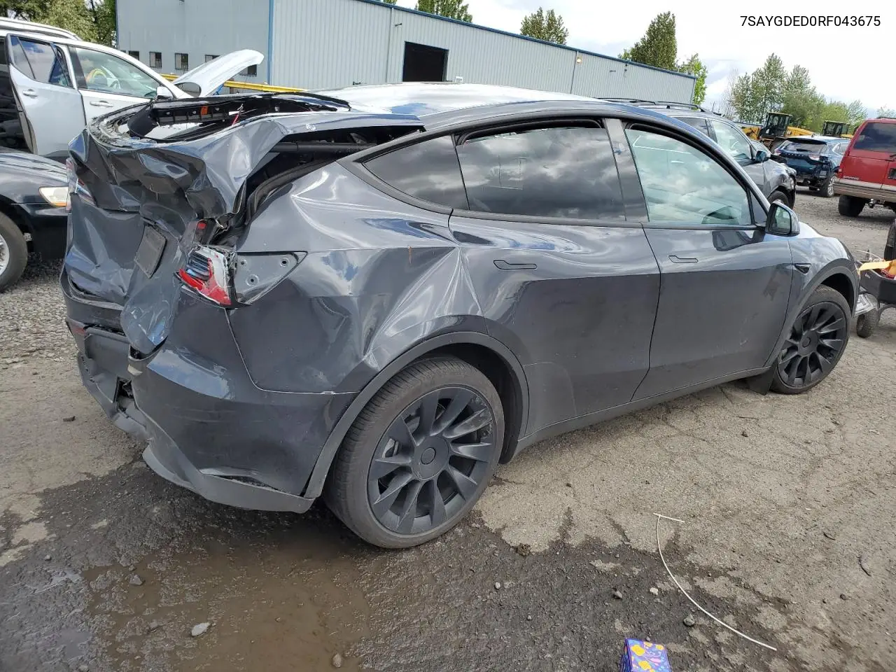2024 Tesla Model Y VIN: 7SAYGDED0RF043675 Lot: 56904965