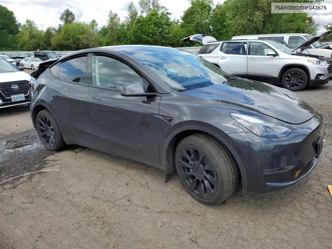 2024 Tesla Model Y VIN: 7SAYGDED0RF043675 Lot: 56904965