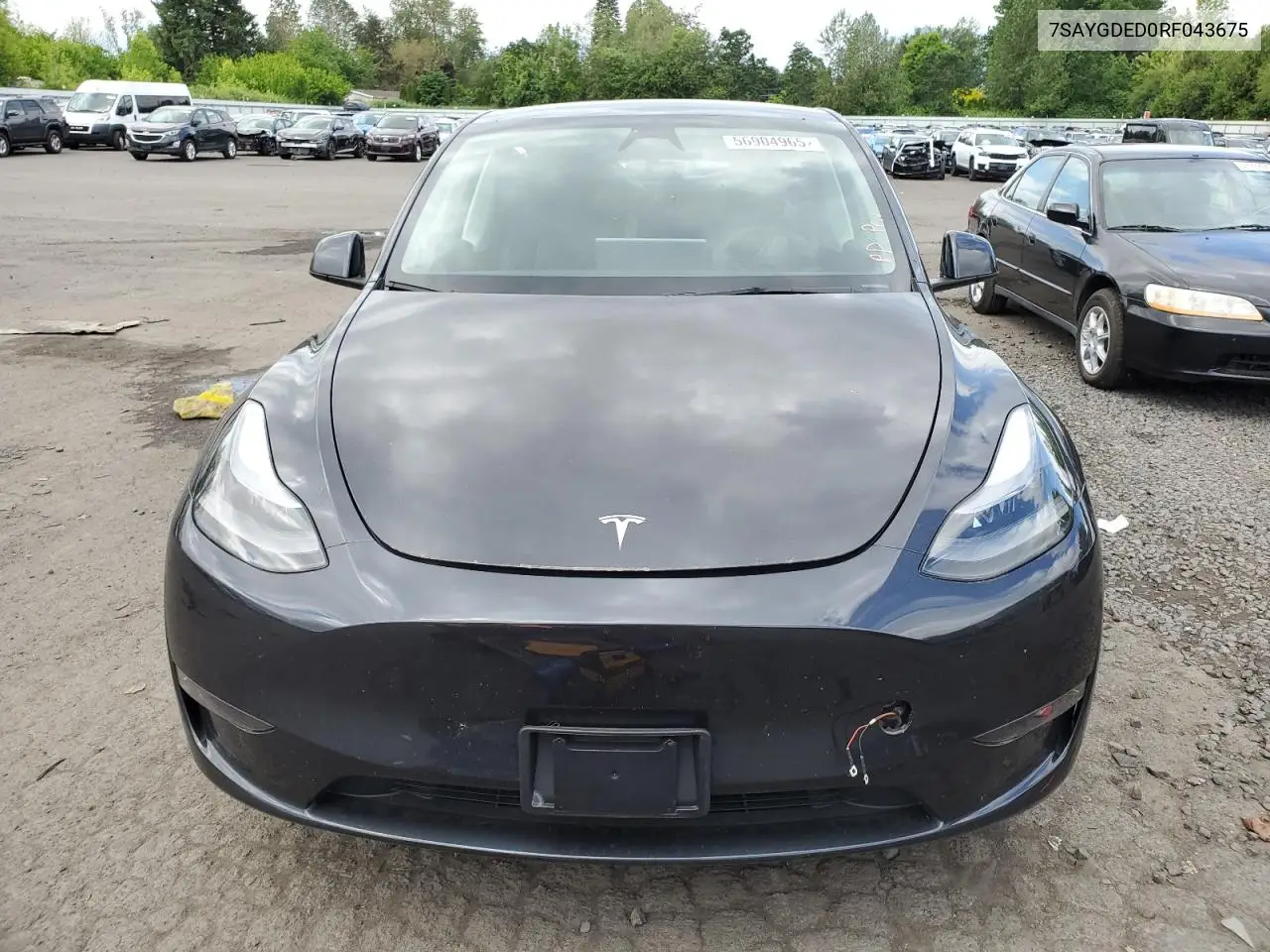 2024 Tesla Model Y VIN: 7SAYGDED0RF043675 Lot: 56904965