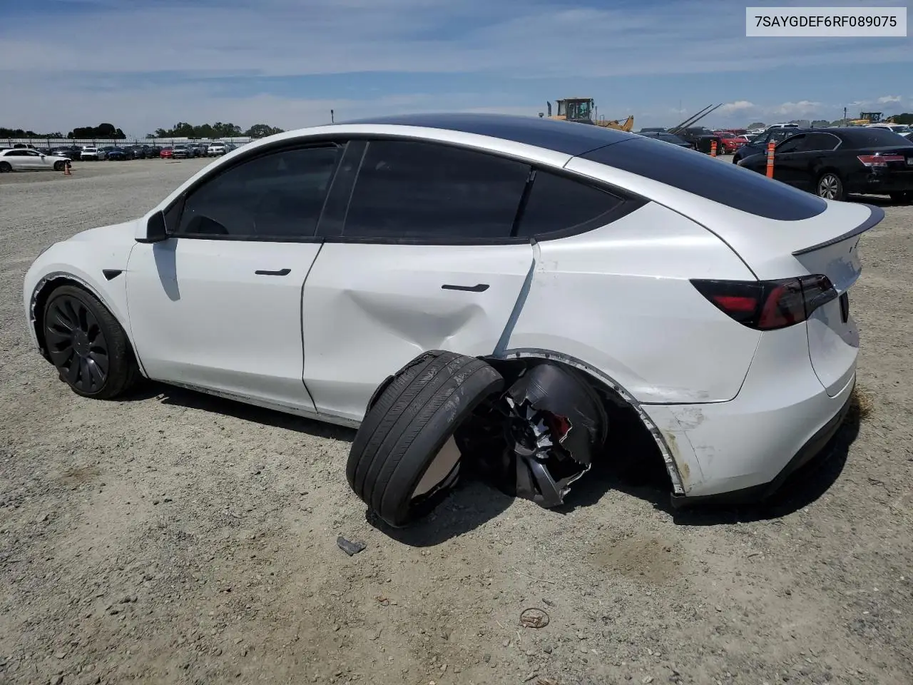2024 Tesla Model Y VIN: 7SAYGDEF6RF089075 Lot: 57159915
