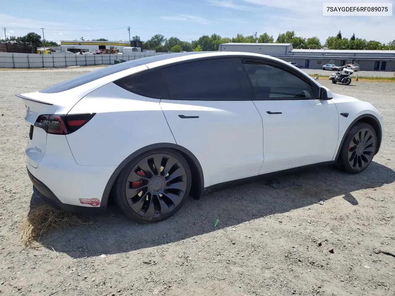 2024 Tesla Model Y VIN: 7SAYGDEF6RF089075 Lot: 57159915