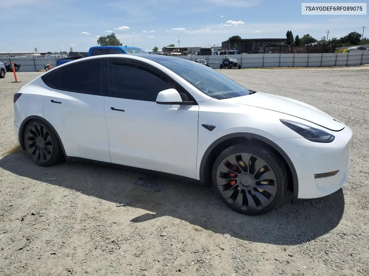 2024 Tesla Model Y VIN: 7SAYGDEF6RF089075 Lot: 57159915