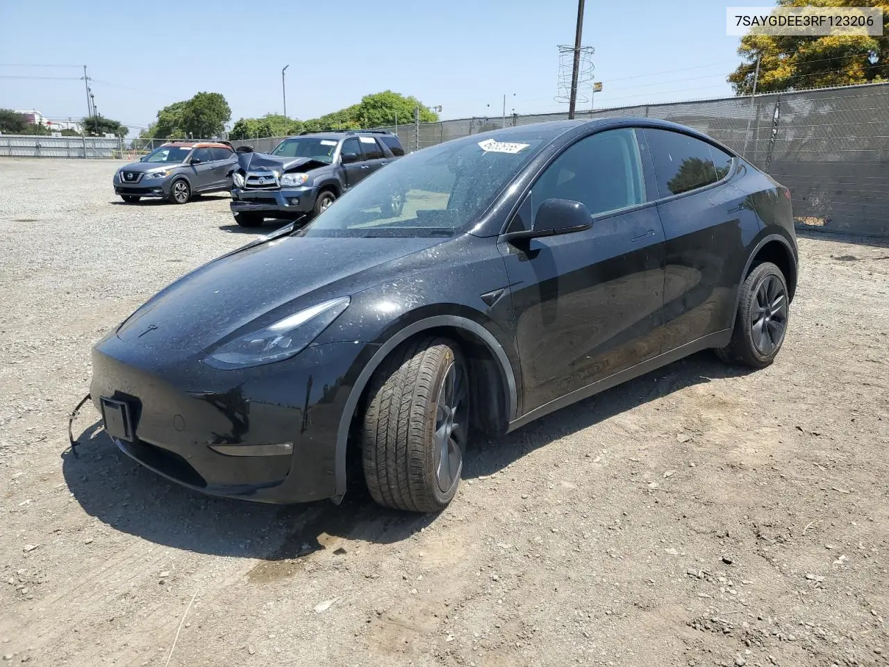 2024 Tesla Model Y VIN: 7SAYGDEE3RF123206 Lot: 60826155