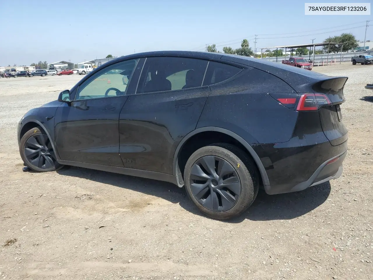 2024 Tesla Model Y VIN: 7SAYGDEE3RF123206 Lot: 60826155