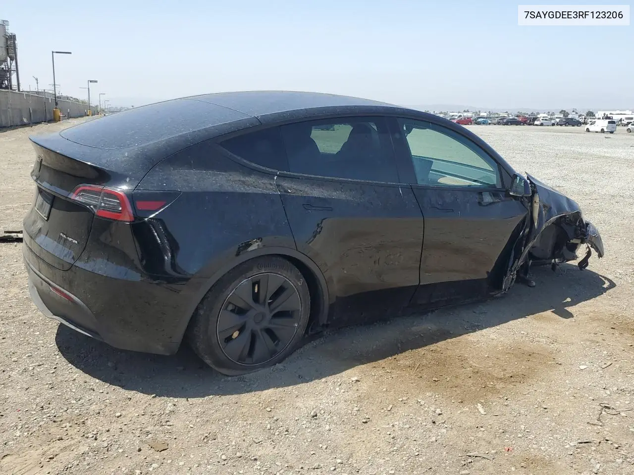 2024 Tesla Model Y VIN: 7SAYGDEE3RF123206 Lot: 60826155