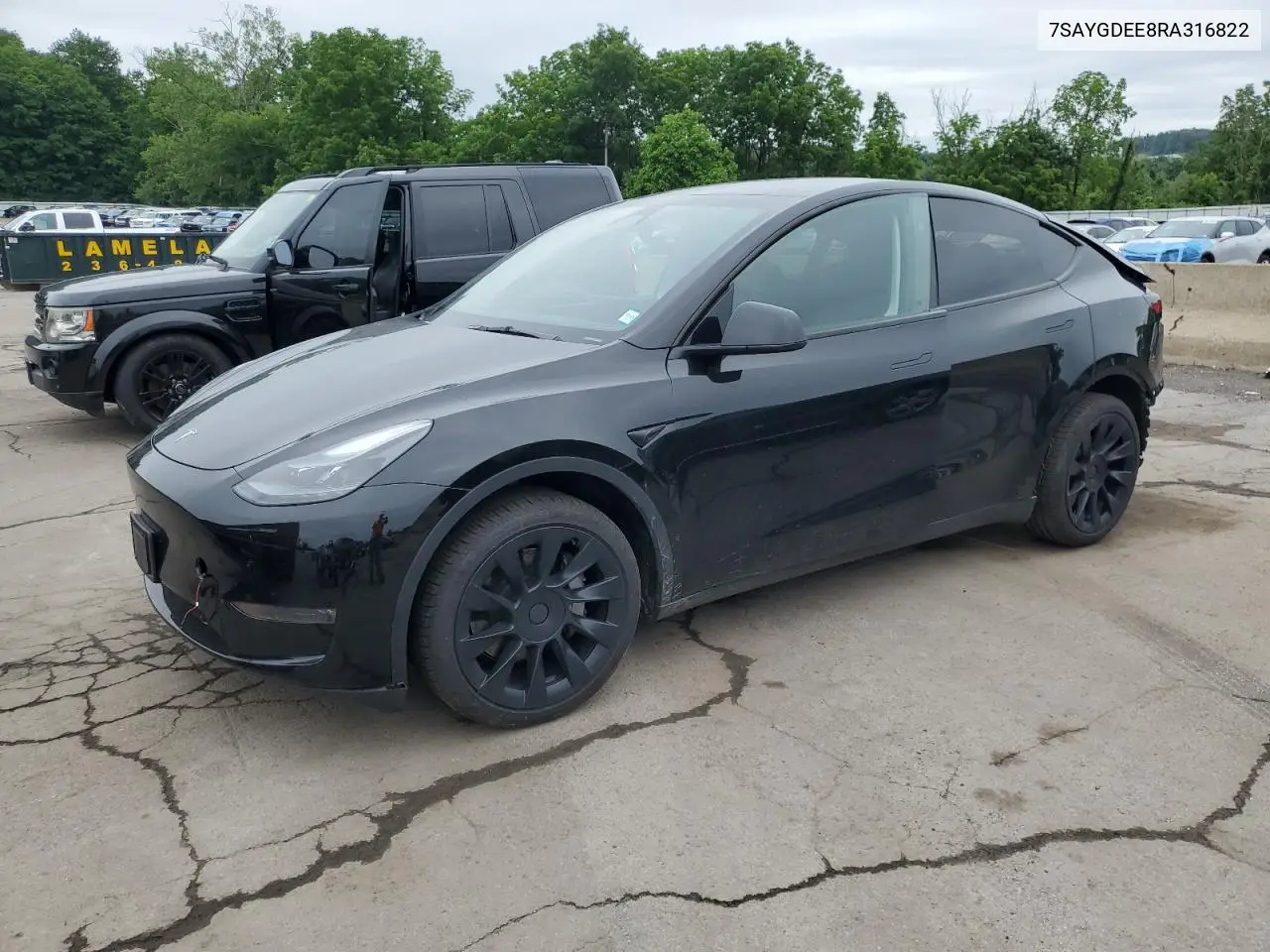 2024 Tesla Model Y VIN: 7SAYGDEE8RA316822 Lot: 60918505