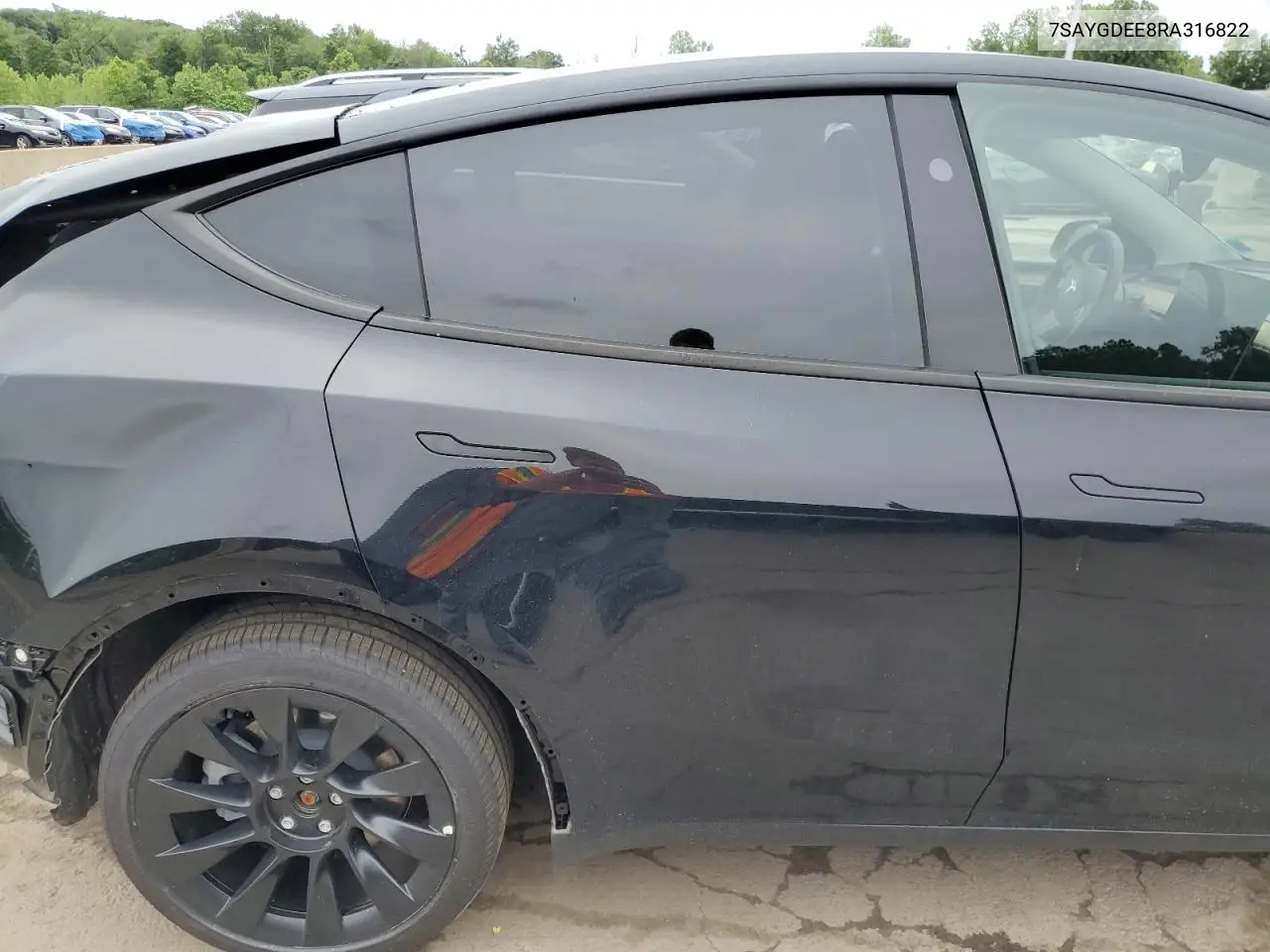 2024 Tesla Model Y VIN: 7SAYGDEE8RA316822 Lot: 60918505
