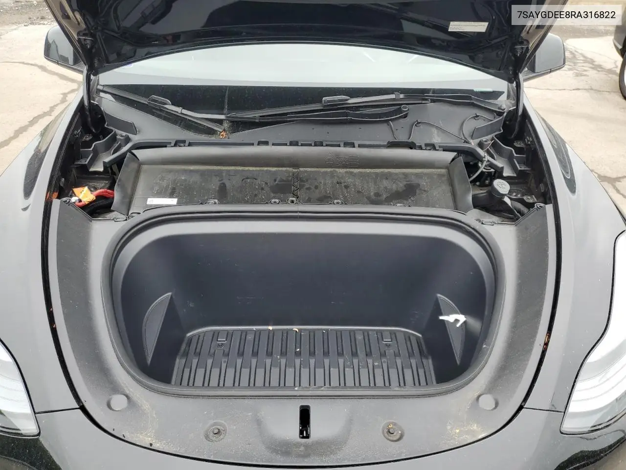 2024 Tesla Model Y VIN: 7SAYGDEE8RA316822 Lot: 60918505