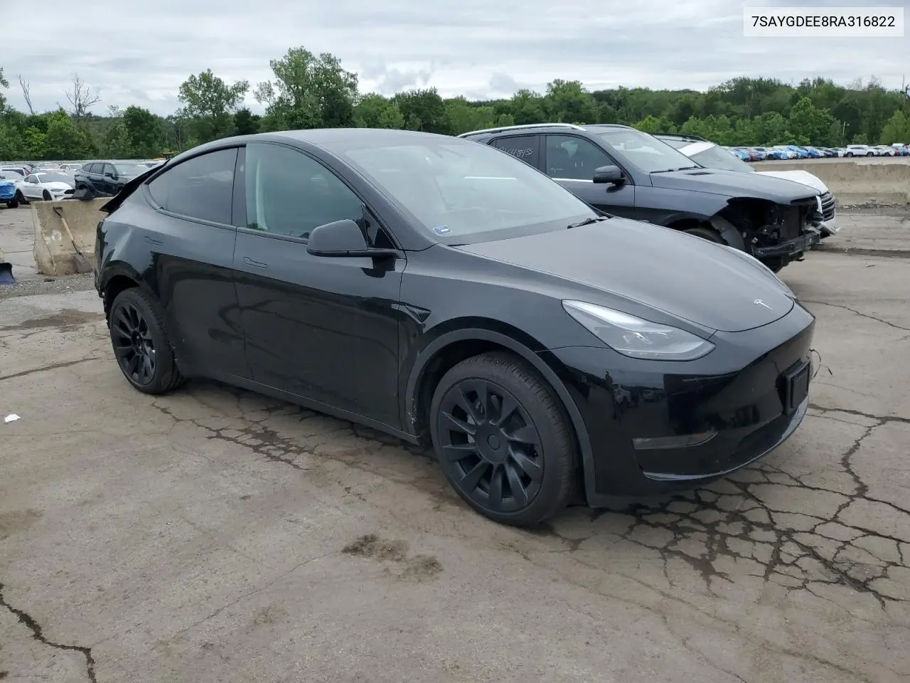 2024 Tesla Model Y VIN: 7SAYGDEE8RA316822 Lot: 60918505